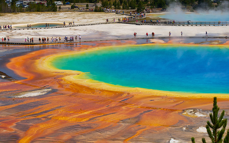 Grand Prismatic Spring Yellow Stone National Park