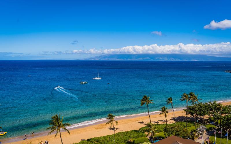 Maui in January