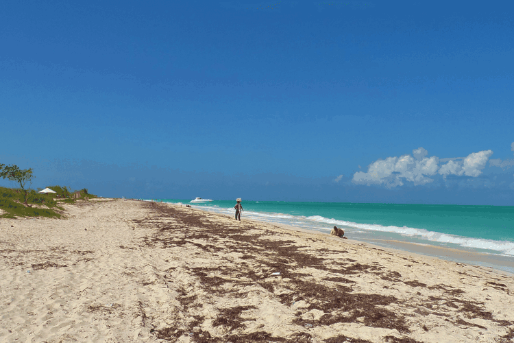 Isla Blanca Beach