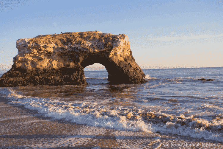 Santa Cruz USA