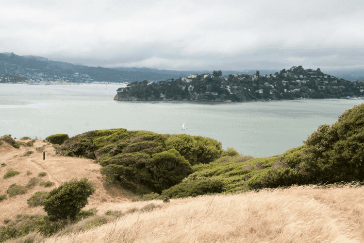 Tiburon and Angel Island in USA