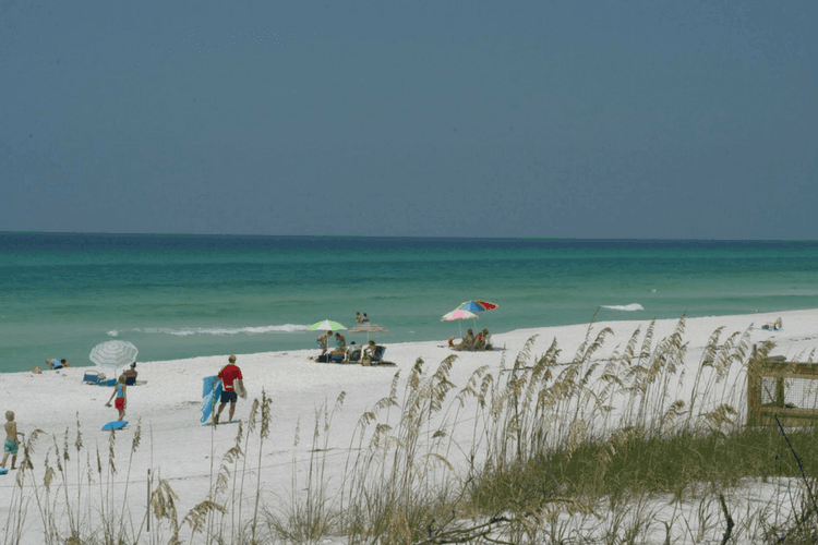Grayton Beach State Park, Florida