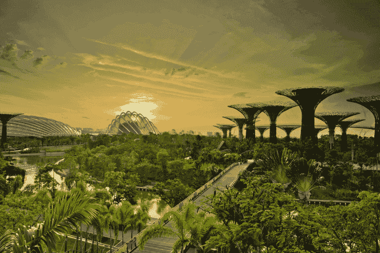Gardens by the Bay, Singapore