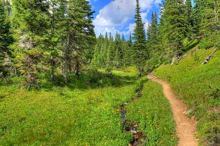 Continental Divide Trail