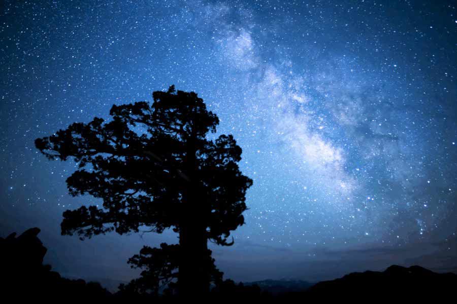 Star Gazing Grand Canyon