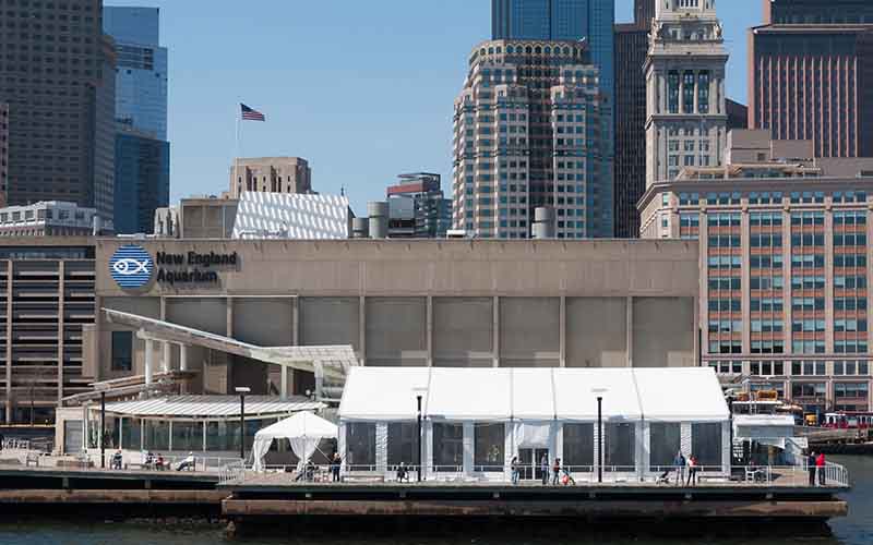 New England Aquarium Boston