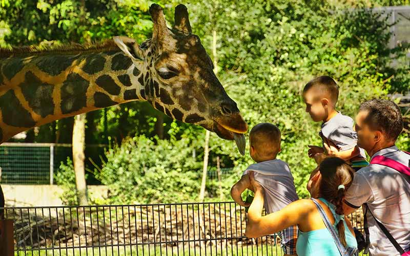 dallas zoo