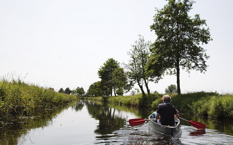 Kayaking Tour at Buffalo Bayou Partnership