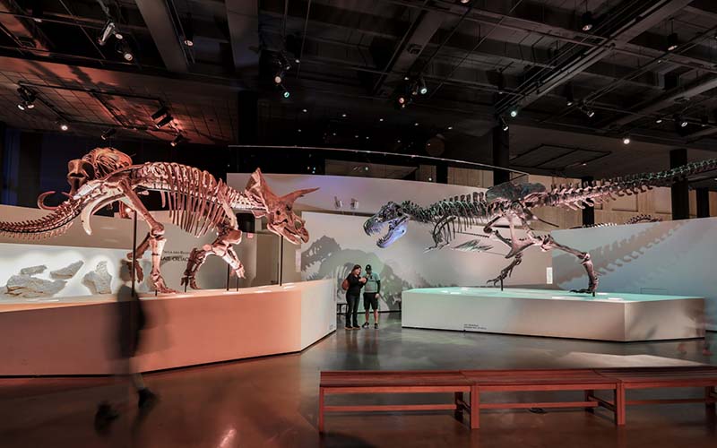 the Houston Museum of Natural Science