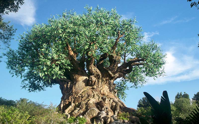 disney's animal kingdom theme park