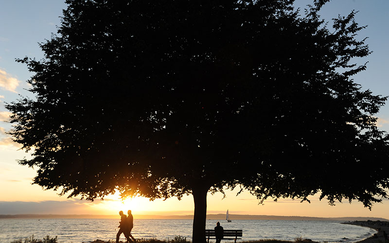  Golden Gardens Park