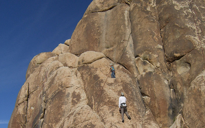 Joshua tree national park 