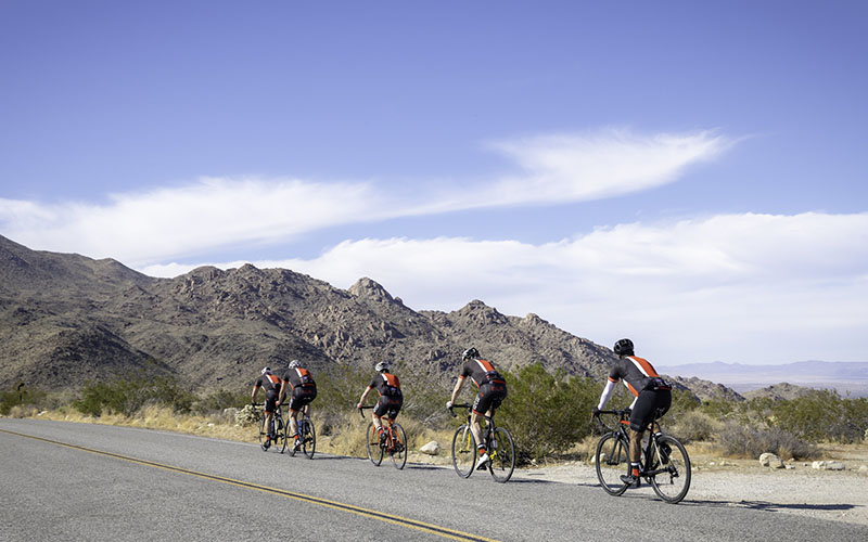 Ride a Bicycle on joshua tree