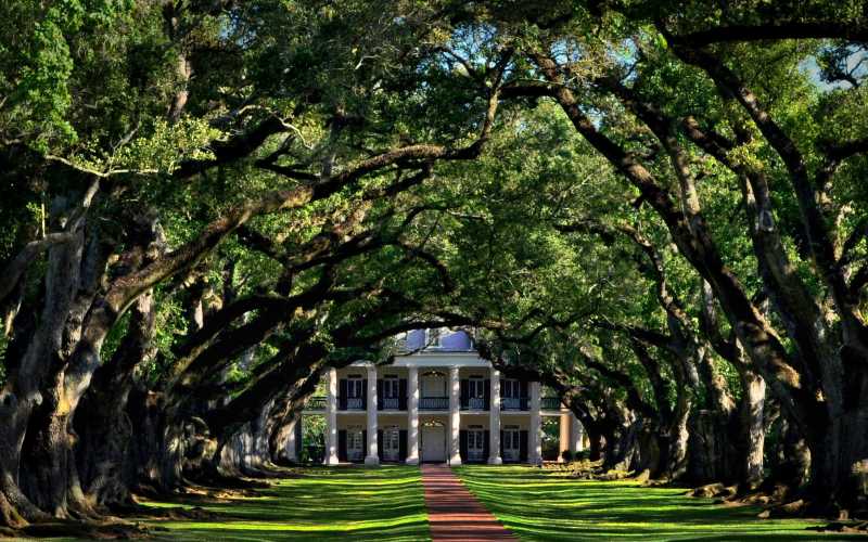 Louisiana in January