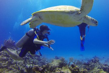 Scuba at Hawaii