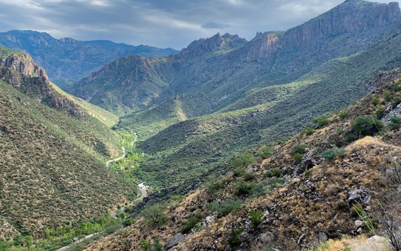 Phone Line Trail Sabino Canyon