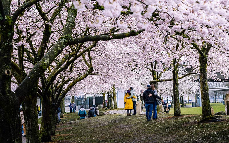Valentines-Day-Getaways-USA
