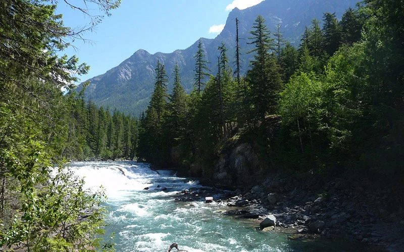 Scenic view of mountains, forests, and lakes at Glacier National Park. 