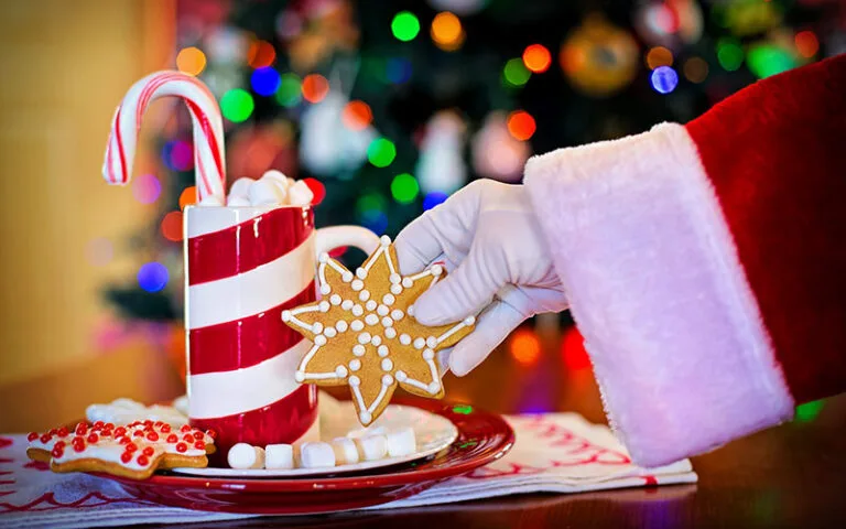 Santa's hand holding gingerbread cookie and hot cocoa